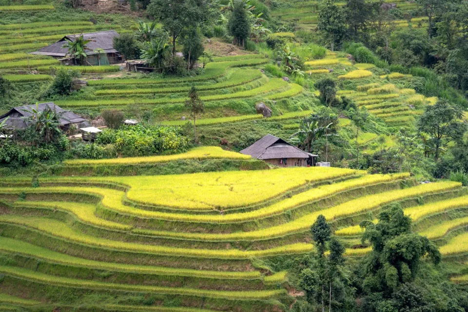 Kho gạo của Nguyễn Viết Cương