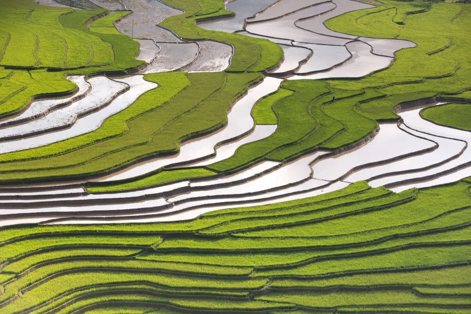Kho gạo xếp bao